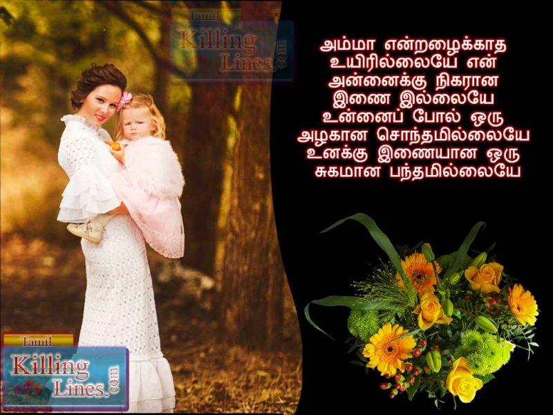 Ammavai Patri Tamil Anbu Alagiya Tamil Kavithai Poems And Quotes With Cute HD Mother And Baby Pictures For Sharing In Facebook Whatsapp Status