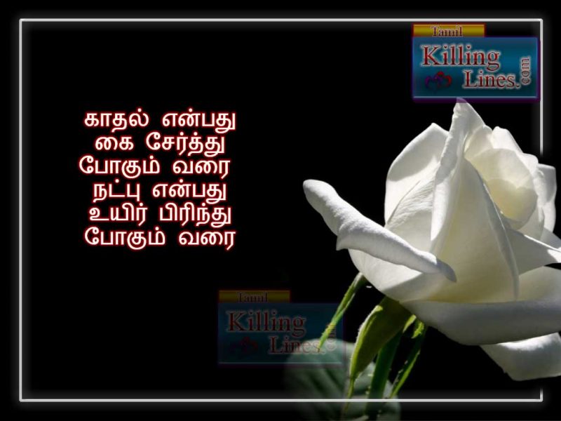 Tamil Natpu Kavithai About Friendship Is Better Than Love Quotes