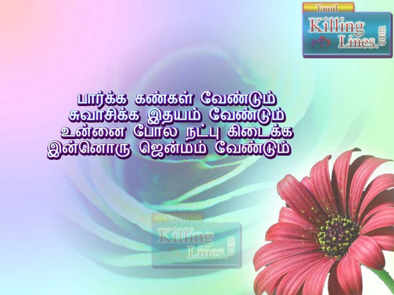 47+ Tamil Friendship Quotes And Cute Natpu Kavithaigal