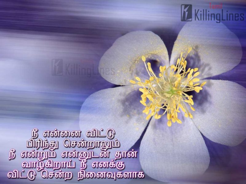 Latest Lonely Sad Feeling Love Failure Love Poems Sms In Tamil Font With Hd For Love Failure Boys