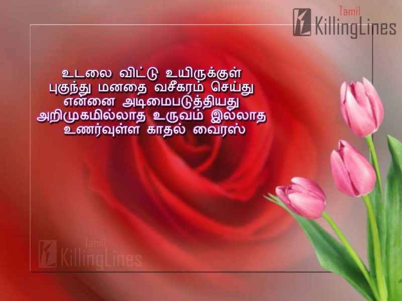 Azhagiya Muthal Kathal Kavithai Varigal About Kathal Virus Beautiful Tamil Love Images For Free Download
