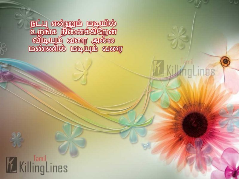 Great Tamil Quotations About True Friendship With Beautiful Background Hd Images For Share Them With Your Friends