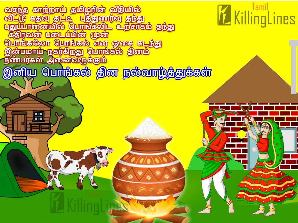Happy Pongal Greetings Hd Wallpapers In Tamil Free Download |  