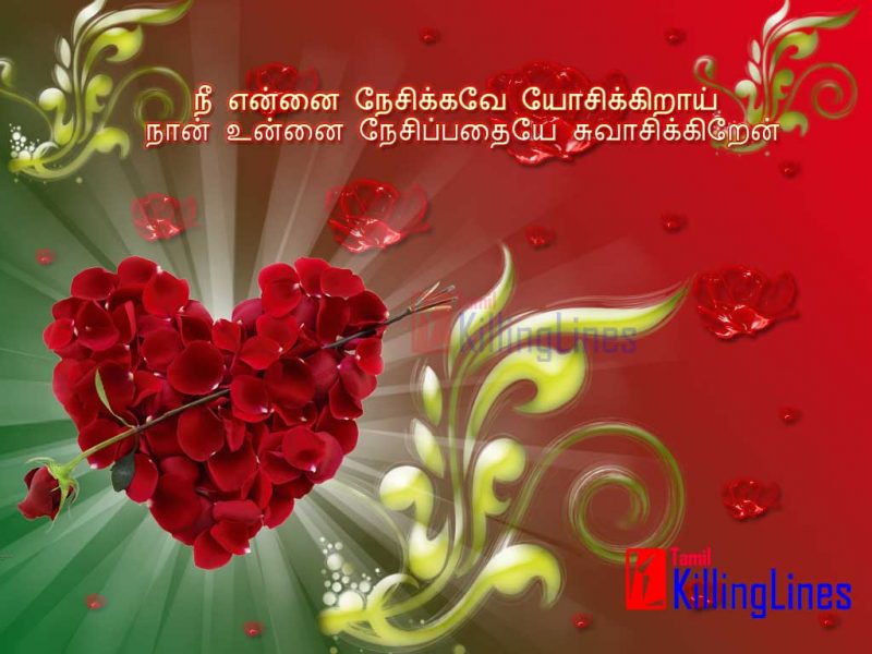 Sad Love Feel Tamil Kathal Kavithai Varigal With Love Heart Background Hd For Your Girlfriend