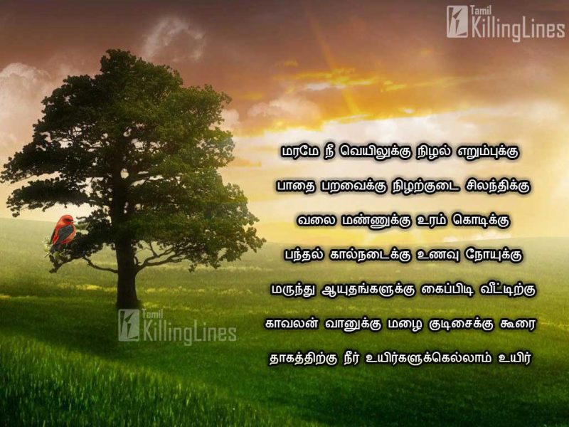 Tamil Quotes On Saving Trees, Maram Patriya Kavithaigal With Images