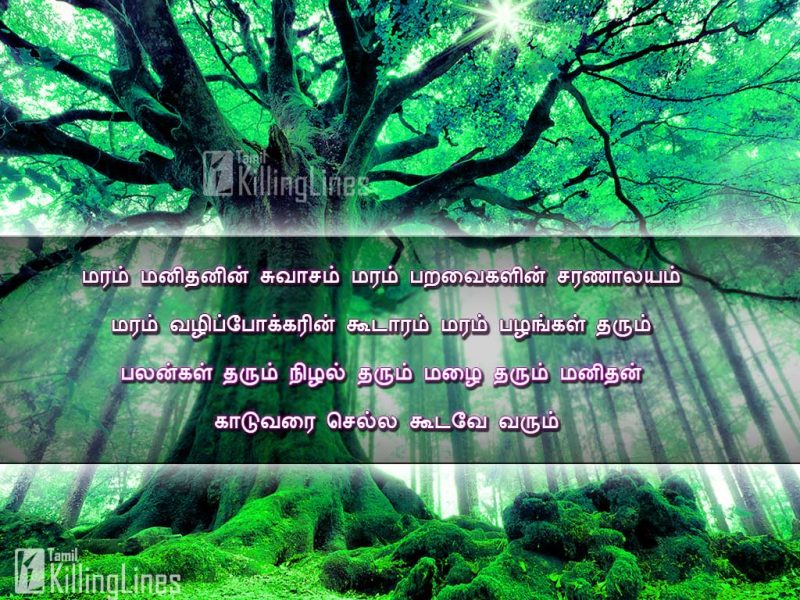Tamil Quotes About The Importance Of Trees In Our Life With Pictures