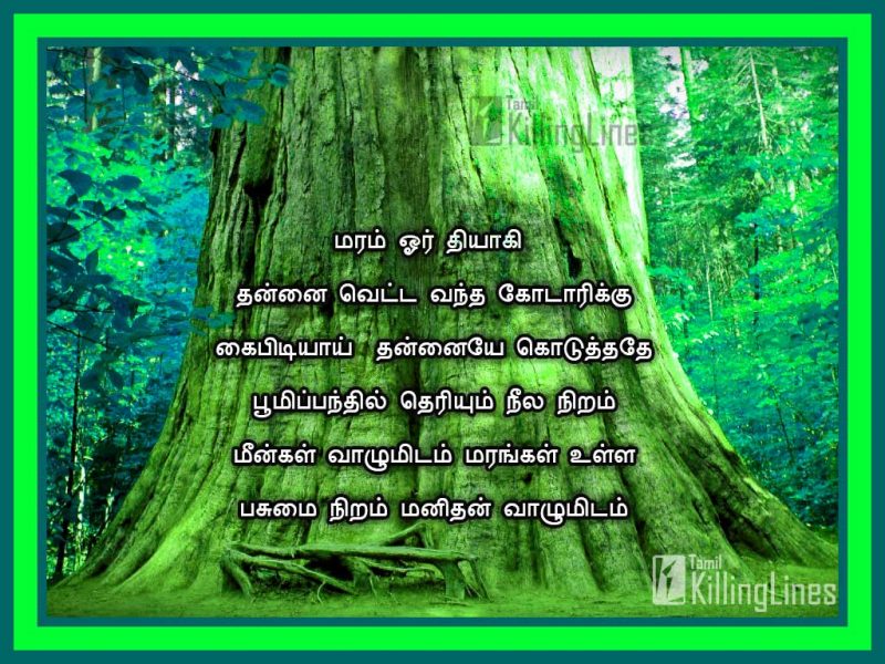 New Tree (Maram) Quotes In Tamil Langugae With Green Trees Images