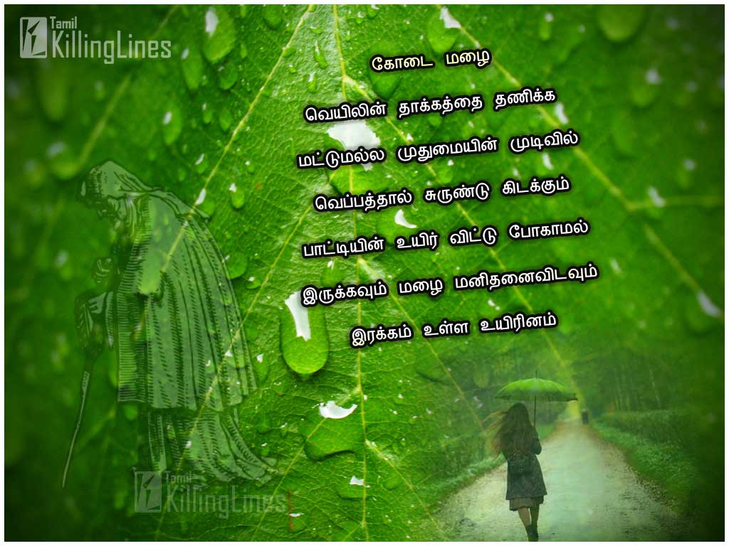 Super Tamil Rain Quotes Images For Share On Facebook