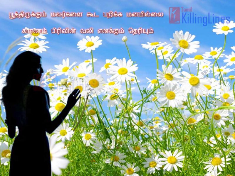 Kathal Pirivin Vali Tamil Kavithai Varigal With Hd Images For Love Failures