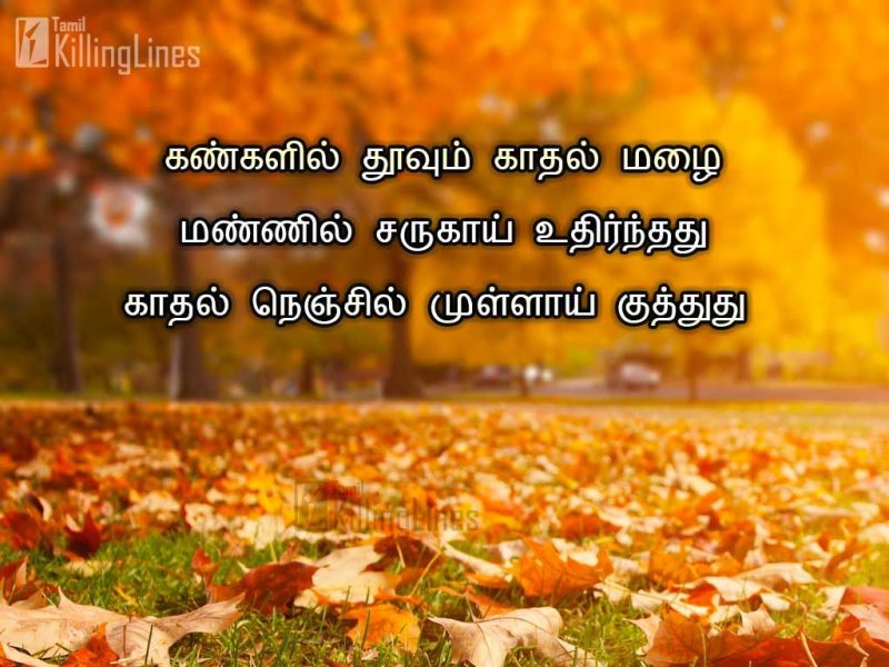 Heart Touching Tamil Kavithai About Kathal ValiKangalil Thoovum Kathal Mazhai Mannil Sarugai Uthirnthathu Kathal Nenjil Mullai Kuthuthu