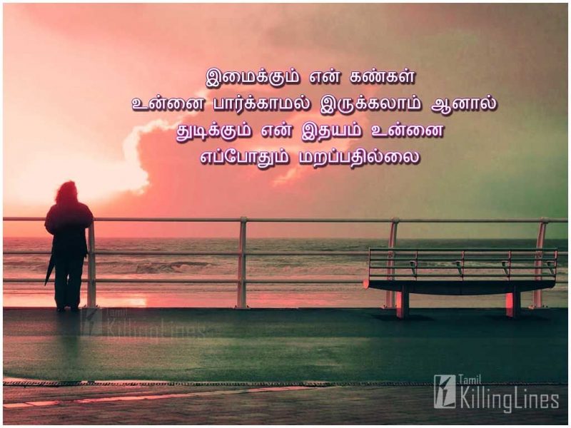 Love Feel Tamil Kavithai ImagesImaikkum Yen Kangal Unnai Parkkamal Irukkalam Aanal Thudikkum Yen Idhayam Unnai Yepothum Marappathillai