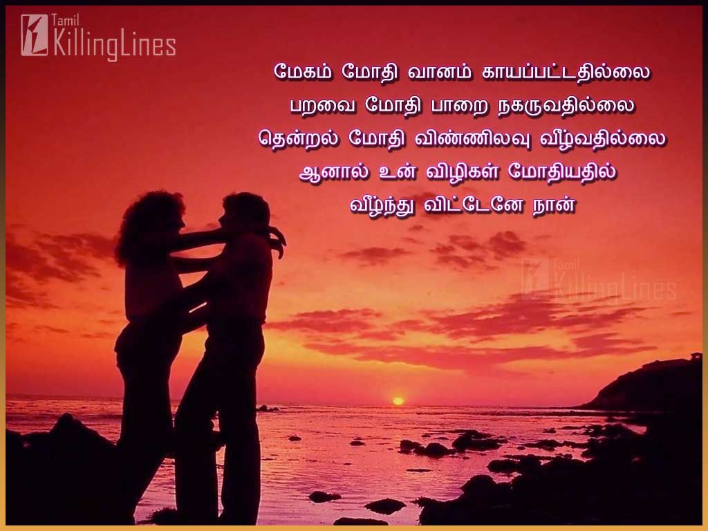 Most Beautiful Romantic Love Quotes In TamilMegam Mothi Vanam KayapattathillaiParavai Mothi Parai NagaruvathillaiThenral Mothi Vinnilavu VeelvathillaiAanal Un Vizigal MothiyathilVeelnthu Vittanae Nan