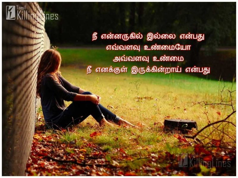 Most Painful Love Quotes In TamilNee Yenarukil Illai Yenbathu Yevalavvu Unmaiyo Avvalavvu Unmai Nee Enakkul Irukkinrai Yenbathu