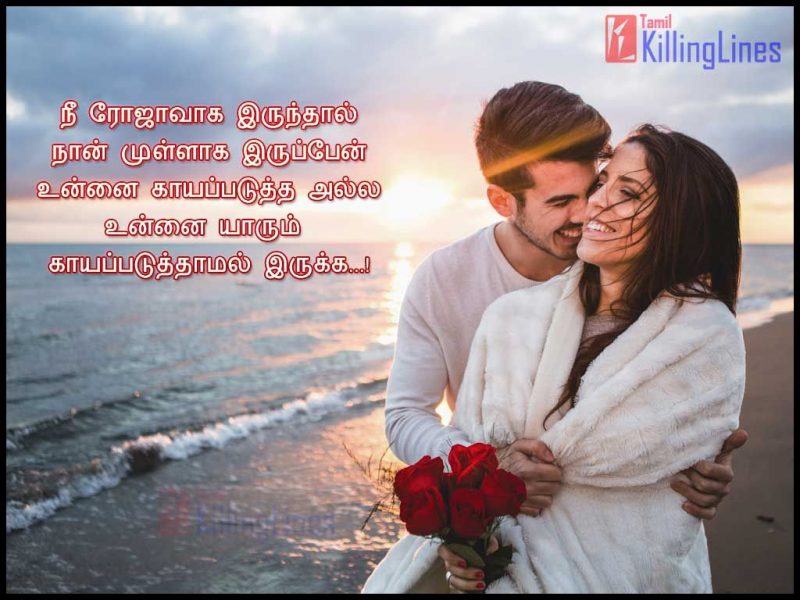 Tamil Kadhal Kavithai For GirlfriendNee Rojavaga IrunthalNan Mullaga IruppeanUnnai Kayappadutha AllaUnnai Yarum Kayappaduthamal Irukka